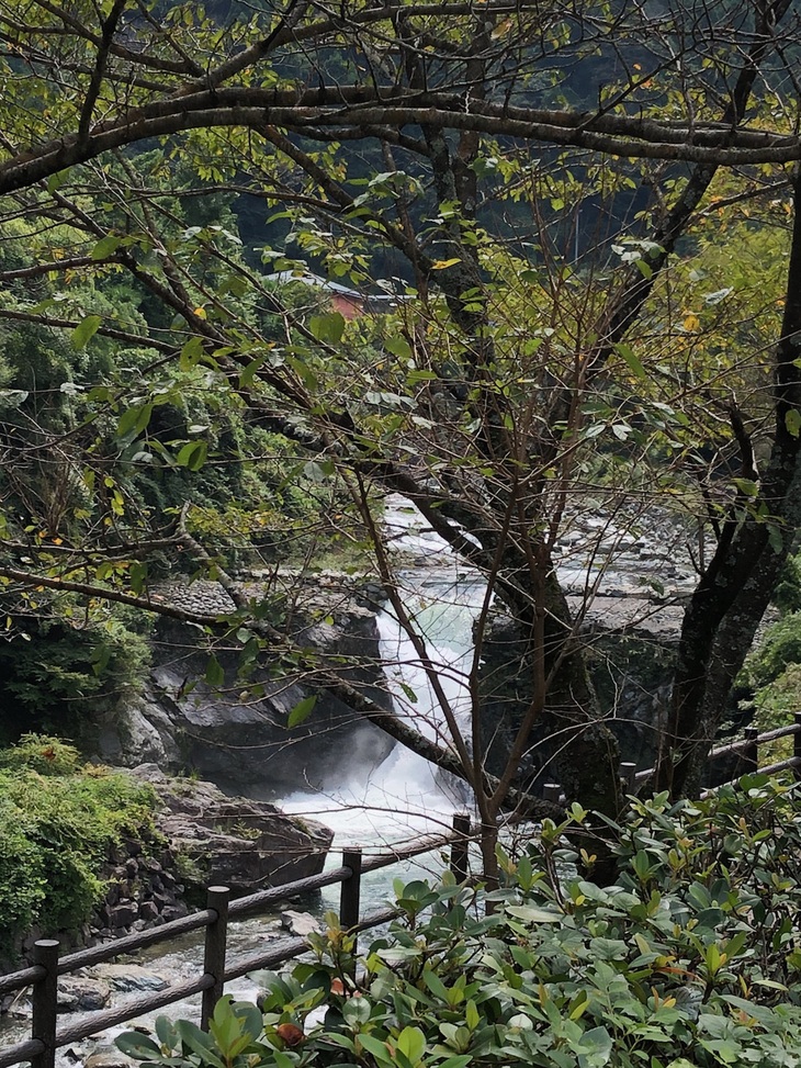 b0166868_2020030.jpg