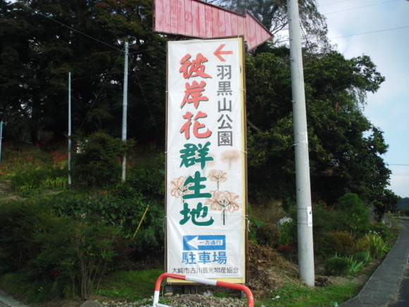 c0325468_18465751.jpg