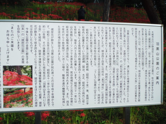 c0325468_18492400.jpg
