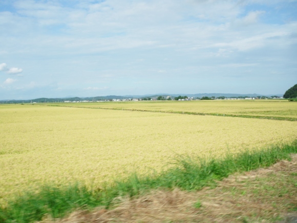 c0325468_19125026.jpg