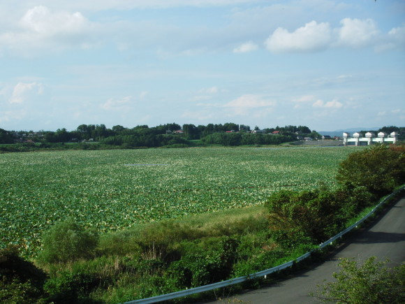 c0325468_19134812.jpg