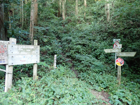 小爪谷から金山へ（福岡市早良区）_d0182075_02480396.jpg