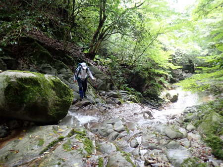 小爪谷から金山へ（福岡市早良区）_d0182075_02480997.jpg