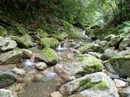 小爪谷から金山へ（福岡市早良区）_d0182075_02481449.jpg