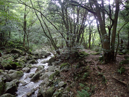 d0182075_05261217.jpg