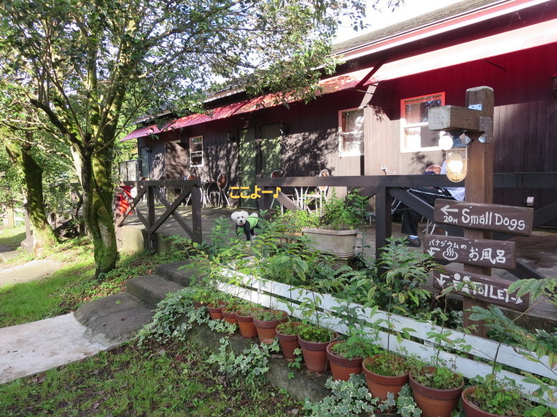 d0264176_19422811.jpg