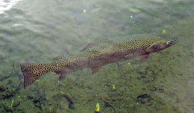 f0083977_14175785.jpg