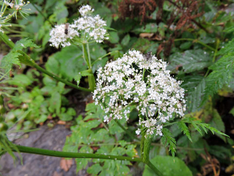 f0083977_14305050.jpg
