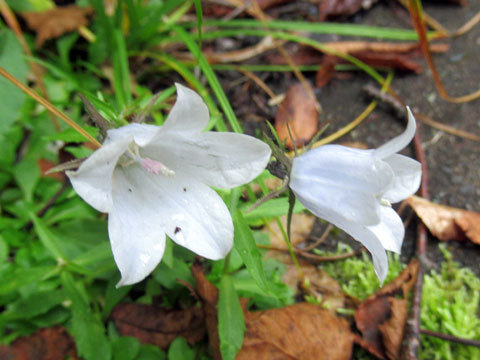 f0083977_14312813.jpg