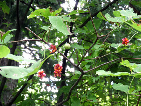 f0083977_21051634.jpg