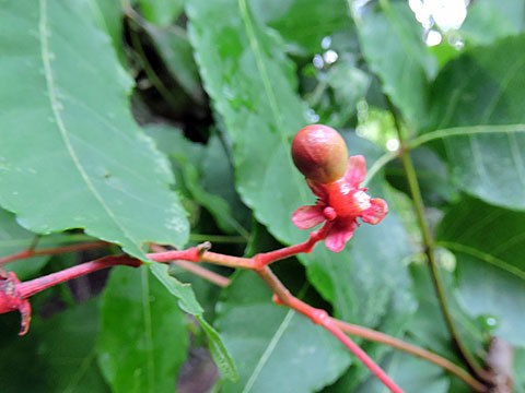 f0083977_21051703.jpg