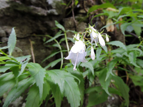 f0083977_21051708.jpg