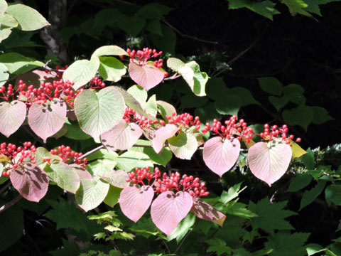 f0083977_21070672.jpg