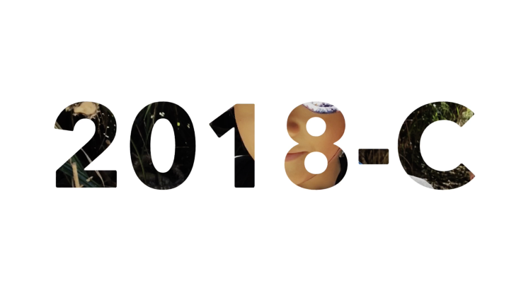 d0363878_23191517.png