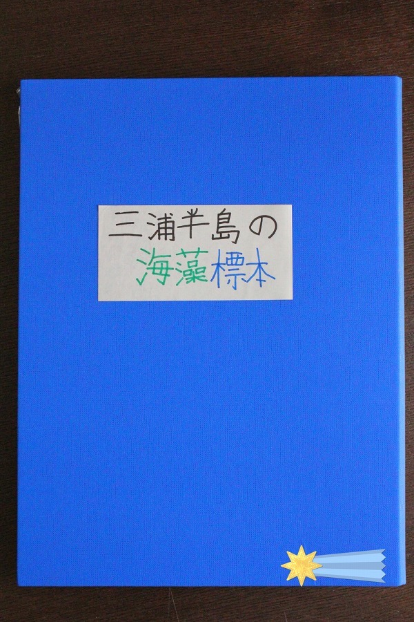 e0374581_19133230.jpg