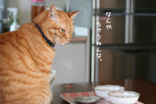 a0216583_23343884.png