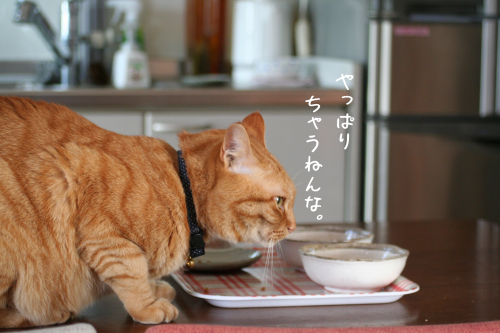 a0216583_23344861.png