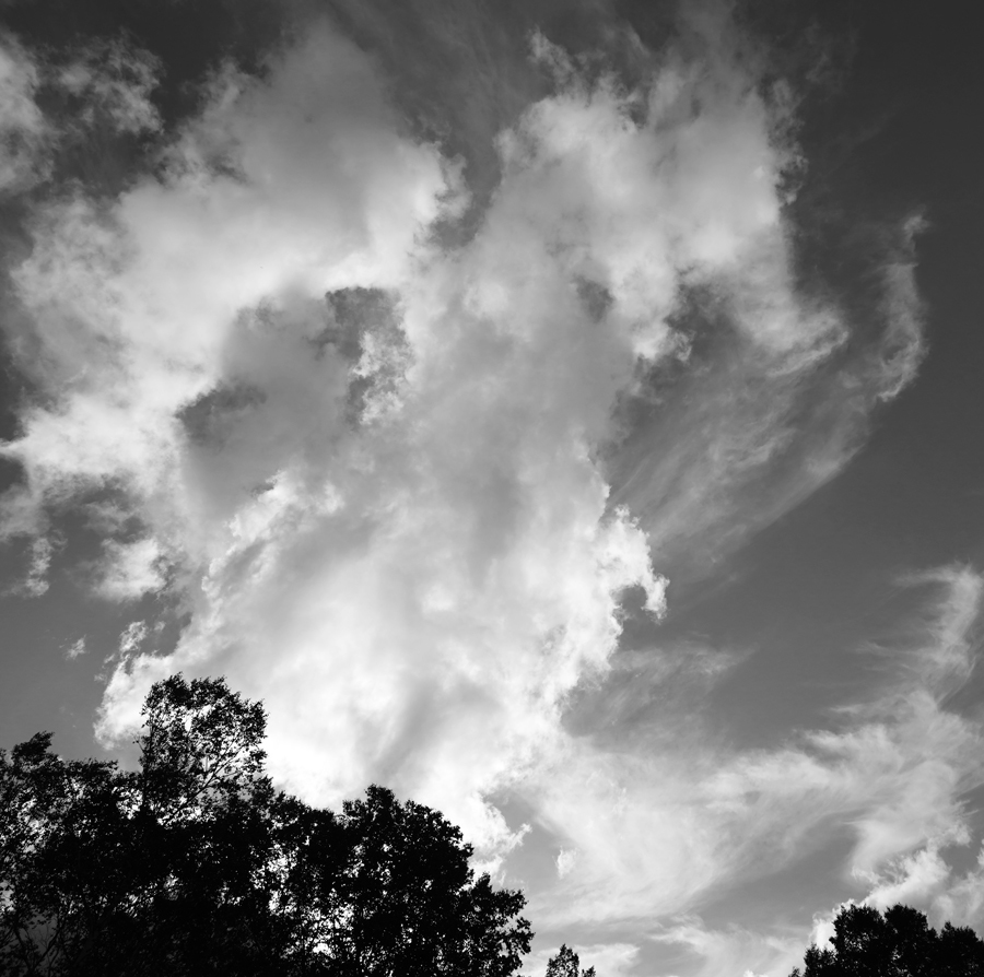 c0229384_14444989.jpg