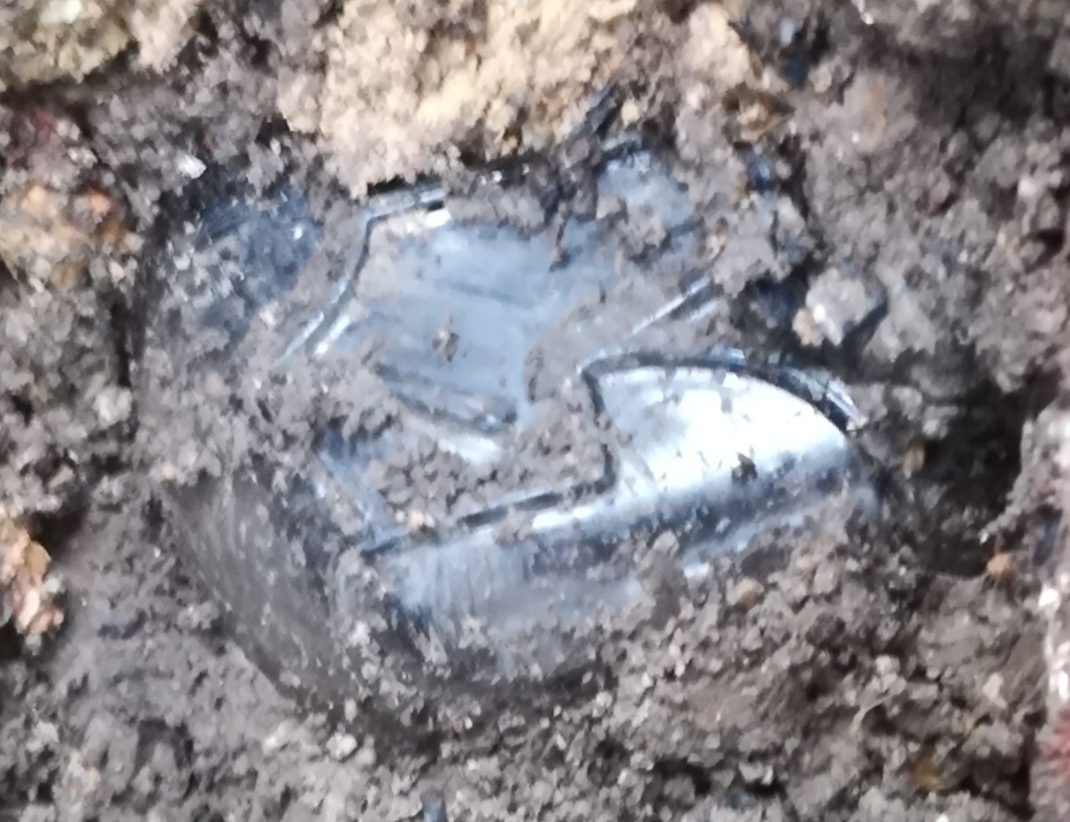 e0362685_17572371.jpg
