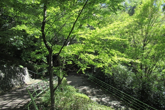 d0183387_18564773.jpg