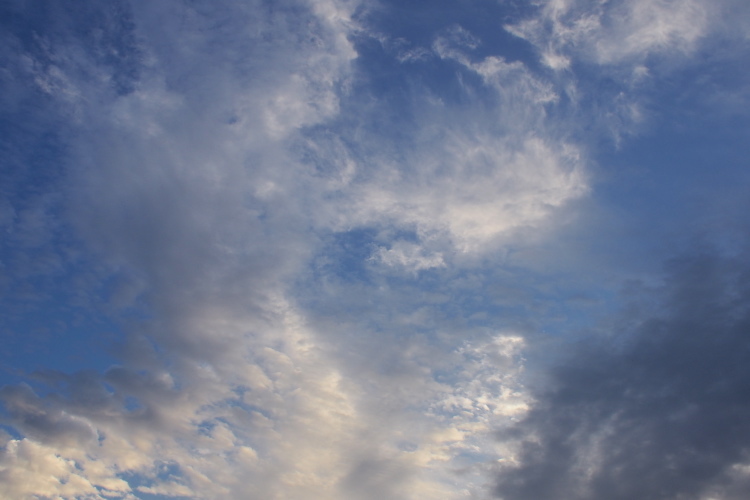 f0231393_15012412.jpg