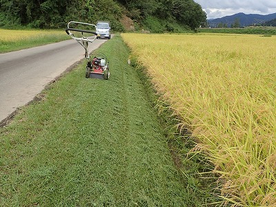 6回目の草刈り作業でした!_c0336902_20032963.jpg