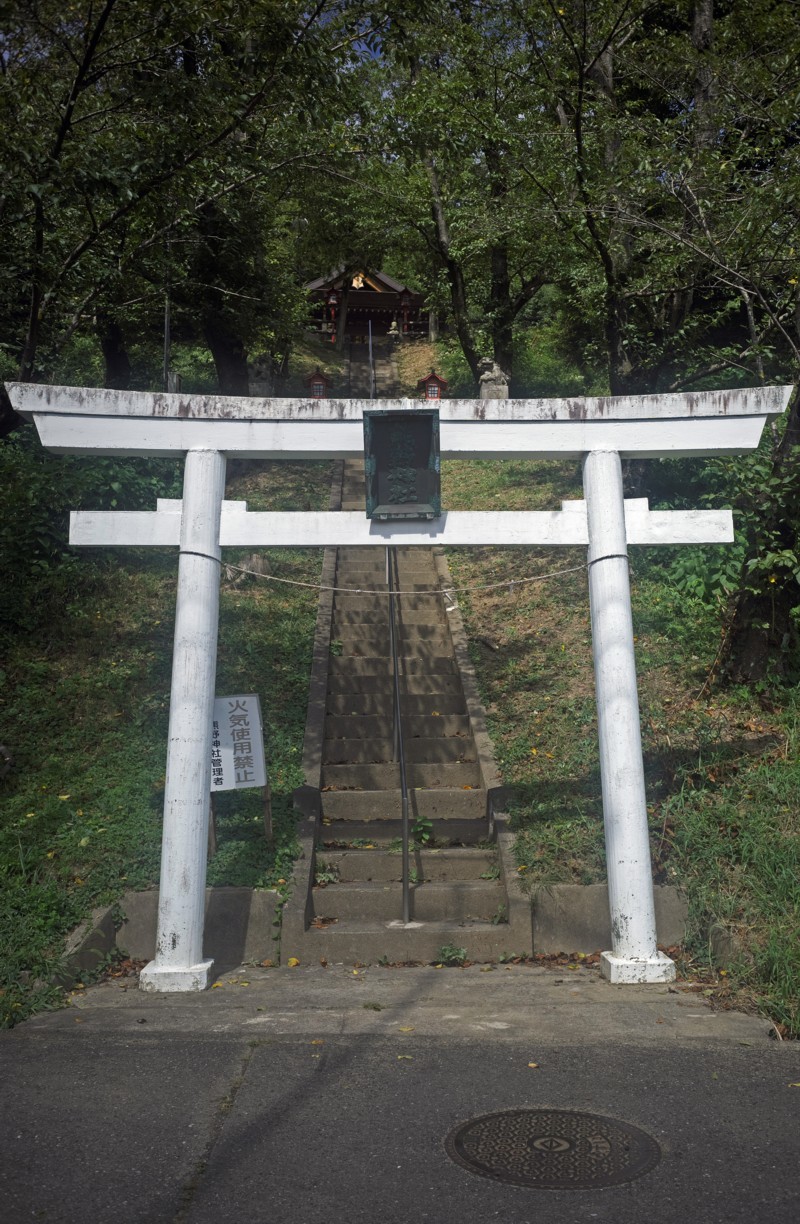 寺家ふるさと村初秋　－　里山の社_c0156404_15125780.jpg