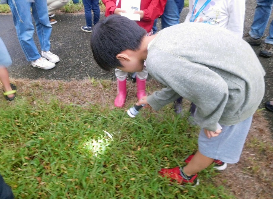 鳴く虫観察会_b0049307_21272756.jpg