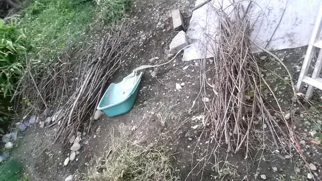 b0302508_21131116.jpg