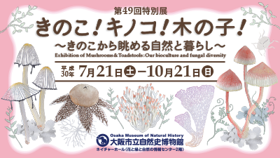 つばめのねぐら入り・司馬遼太郎記念館・こうもり博物館・ならまち糞虫館_f0359911_21593486.png