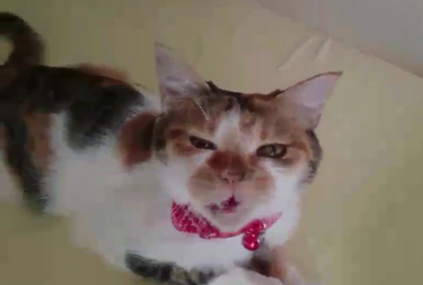 e0144012_11211018.png