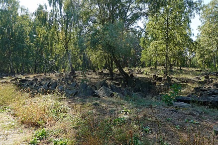 a0151913_9182867.jpg