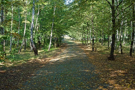 a0151913_93035.jpg
