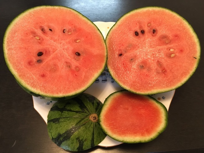 まんまる NO.601_c0102513_18410715.jpeg
