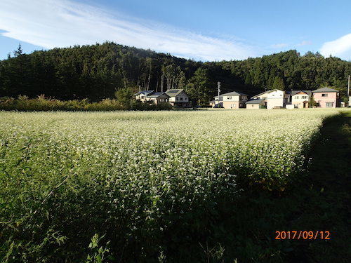 d0320318_11135539.jpg