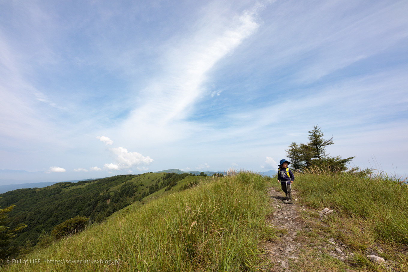 夏の草原広がる稜線トレッキング「八子ヶ峰」西峰へ_c0369219_21510774.jpg