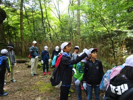 自然観察案内（森林教室）　豊川市立豊小学校_d0105723_18474829.jpg