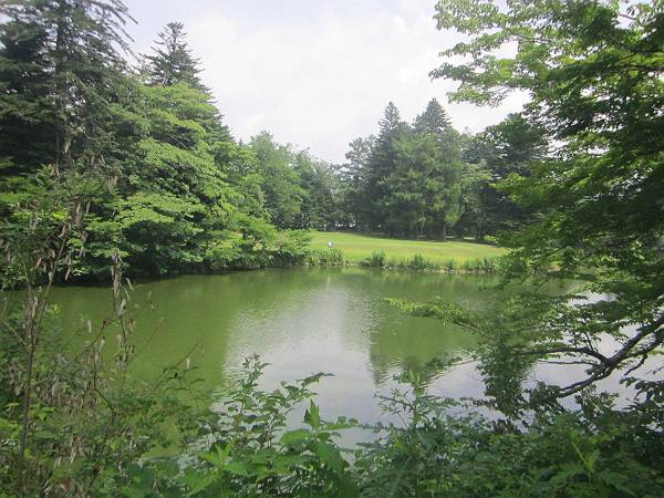d0065324_2340320.jpg