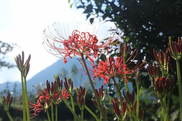 e0321325_06122205.jpg