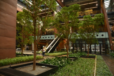 a0124132_11195843.jpg