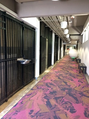 f0371533_14521013.jpg