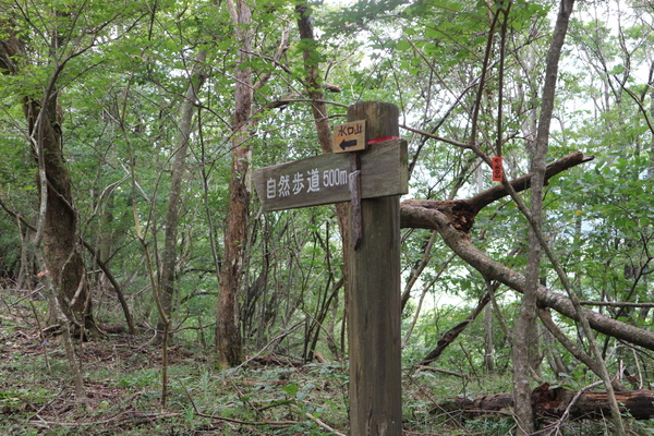 e0272335_19294660.jpg