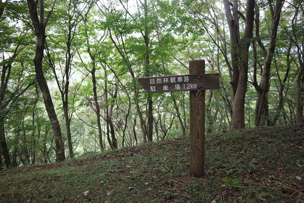 e0272335_1931539.jpg