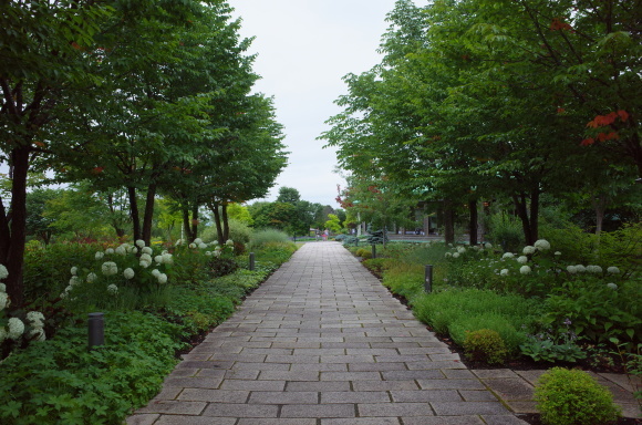a0287336_22570926.jpg