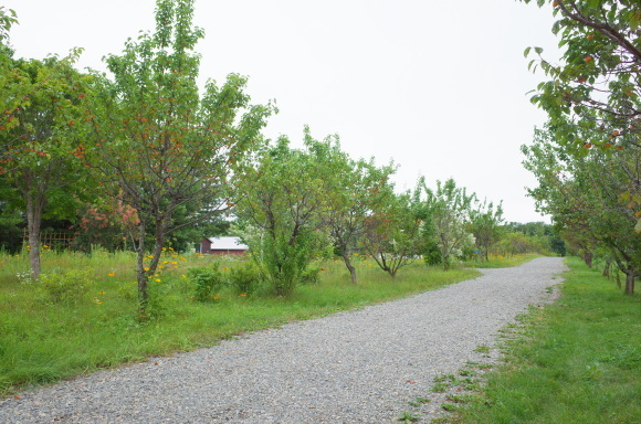 a0287336_22575646.jpg