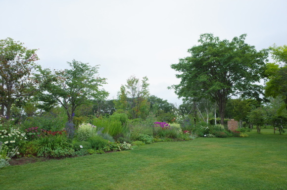 a0287336_22592459.jpg