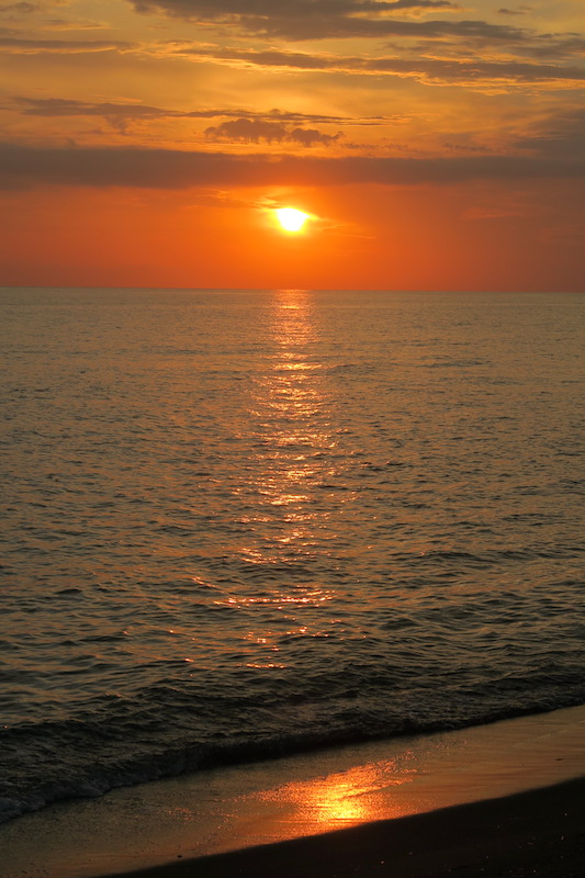 浜のユリ・夕焼けきれいなティレニア海、モンタルト・ディ・カストロ_f0234936_5414416.jpg