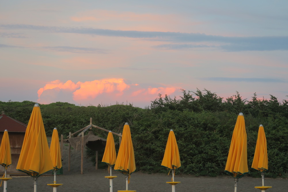 浜のユリ・夕焼けきれいなティレニア海、モンタルト・ディ・カストロ_f0234936_631920.jpg