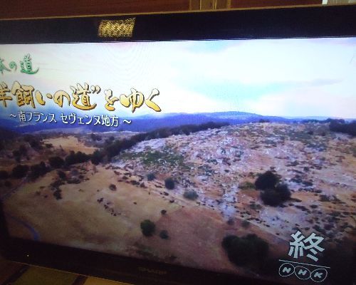 テレビ三昧_d0380237_12483746.jpg