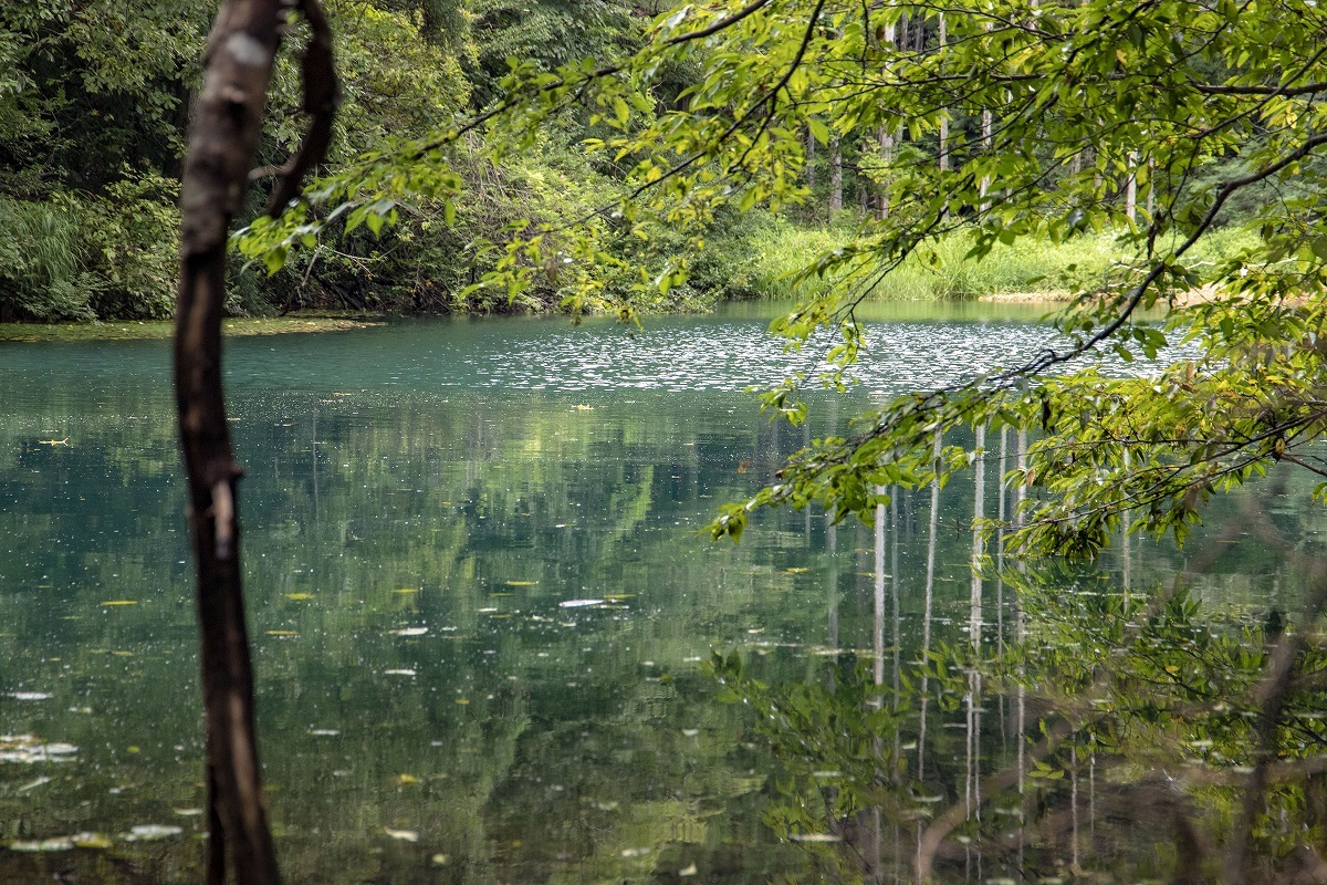 f0297537_15002331.jpg